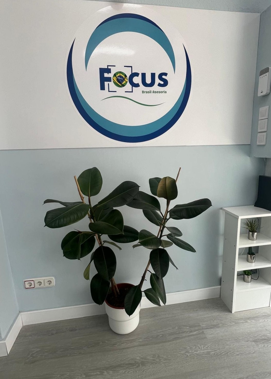 Focus Brasil despacho (7)